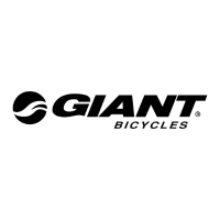 Giant bicycles