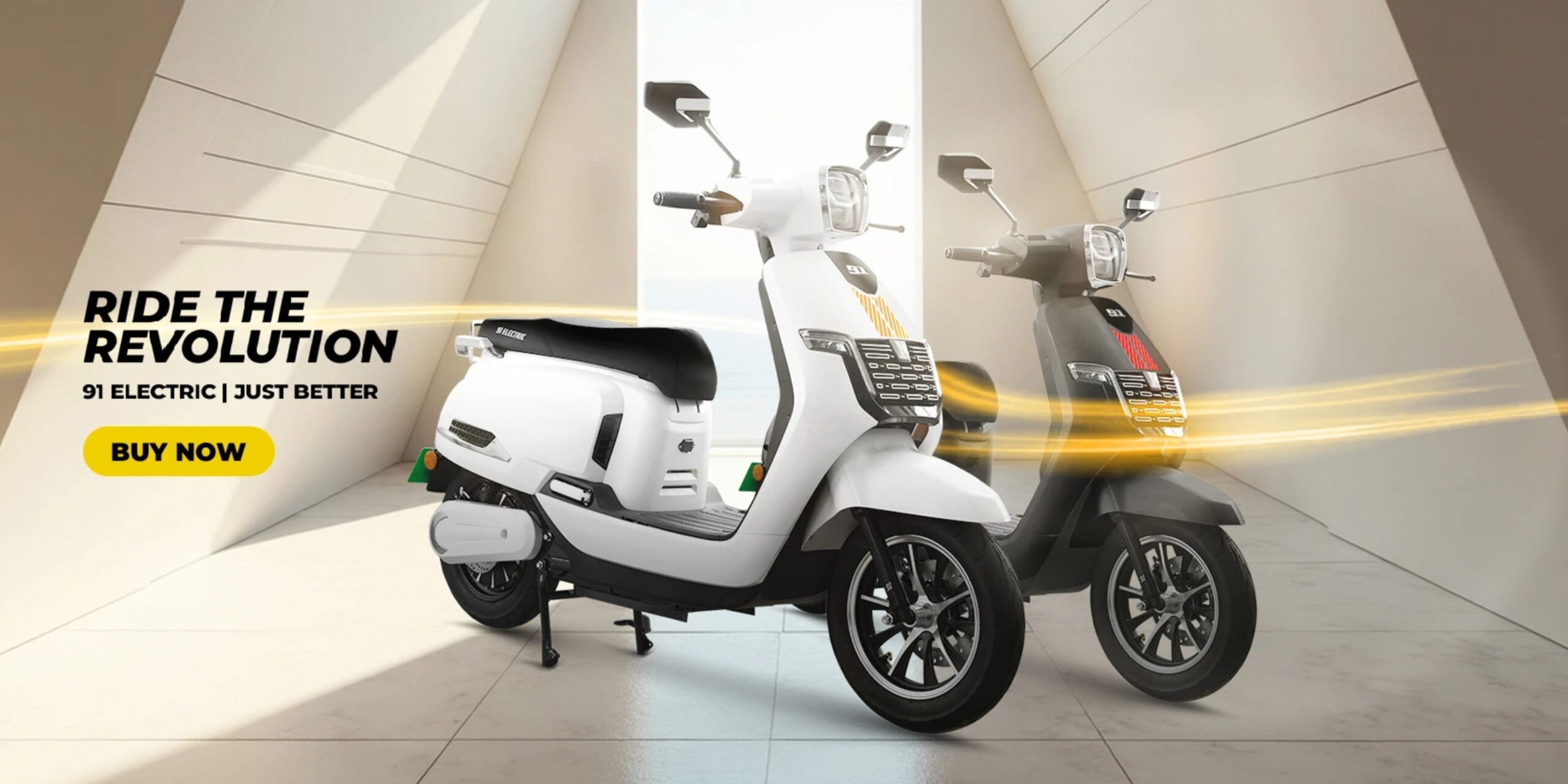 Electric scooters